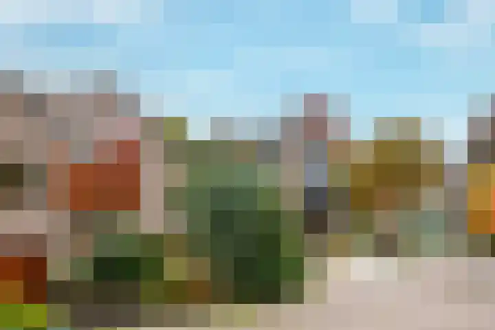 Bongerd 65 Malden thumbnail 38