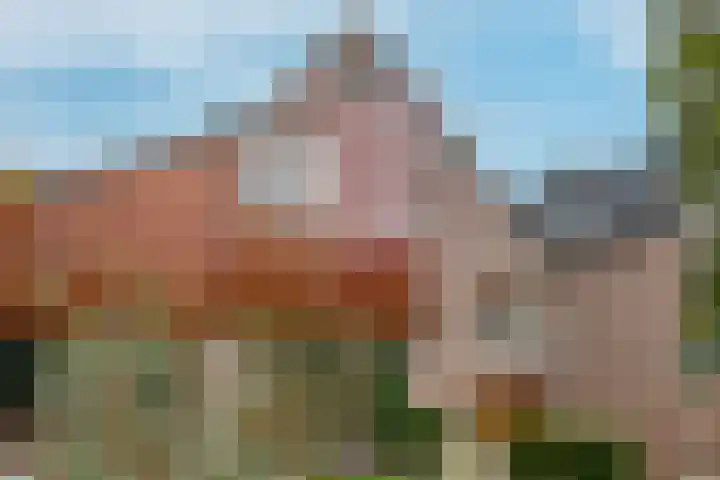 Bongerd 65 Malden thumbnail 43