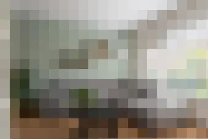 Bongerd 7 Prinsenbeek thumbnail 10