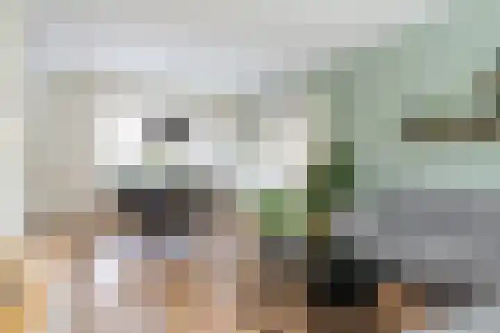 Bongerd 7 Prinsenbeek thumbnail 11
