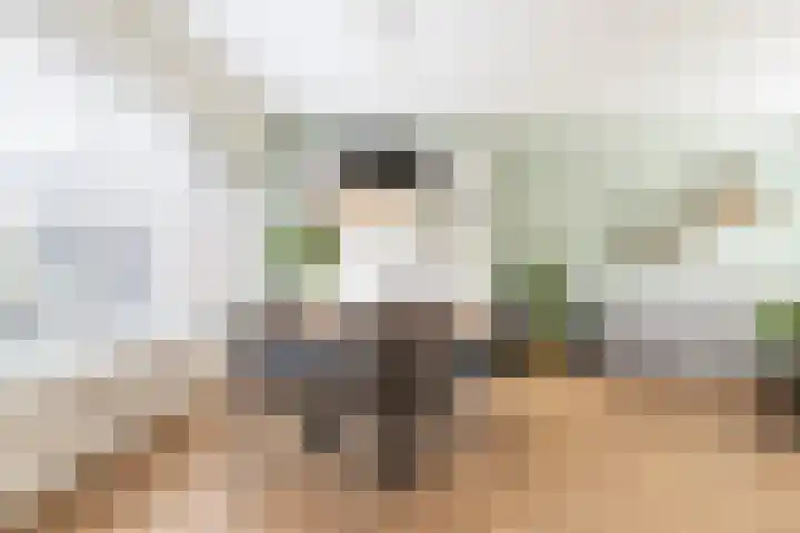 Bongerd 7 Prinsenbeek thumbnail 12