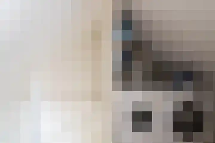Bongerd 7 Prinsenbeek thumbnail 21