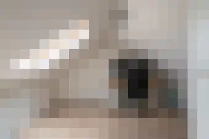 Bongerd 7 Prinsenbeek thumbnail 22