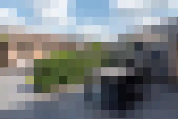 Bongerd 7 Prinsenbeek thumbnail 24