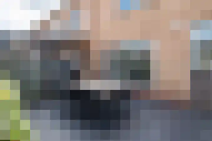 Bongerd 7 Prinsenbeek thumbnail 25