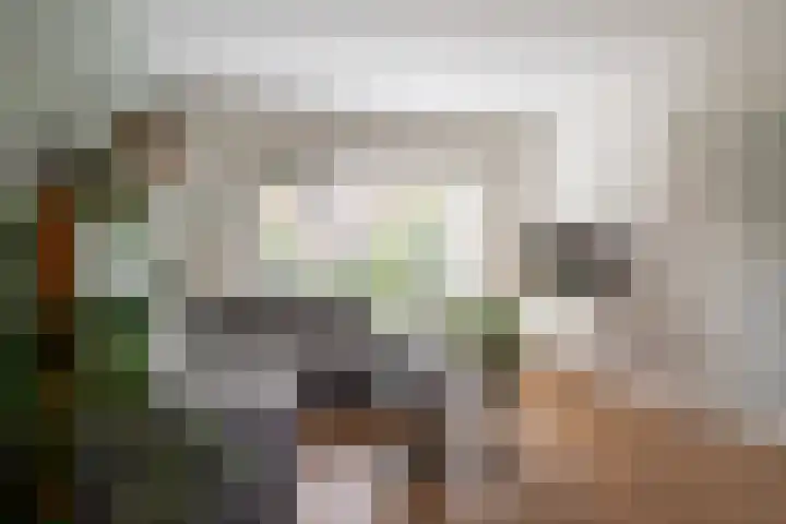 Bongerd 7 Prinsenbeek thumbnail 9