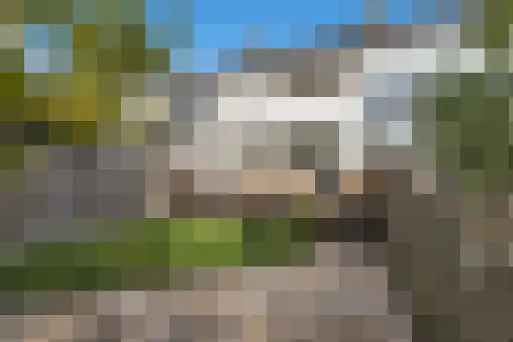 Bongerd 91 Lelystad thumbnail 60