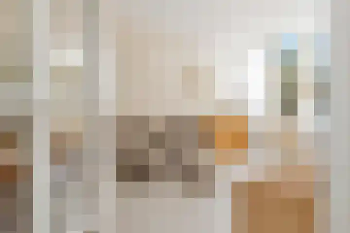 Bongerd 91 Lelystad thumbnail 8