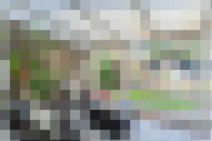 Bongerdpad 13 Apeldoorn thumbnail 19