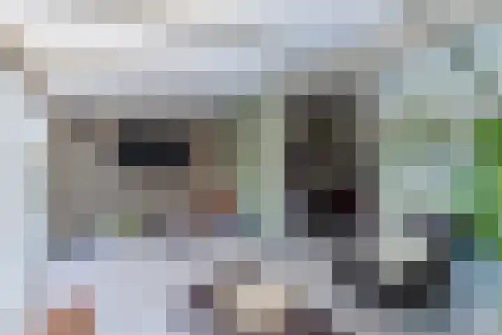 Bongerdpad 13 Apeldoorn thumbnail 21