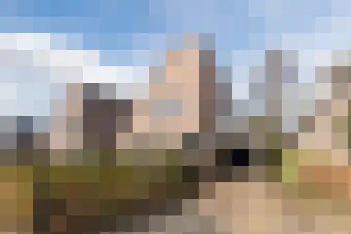Bongerdpad 13 Apeldoorn thumbnail 22