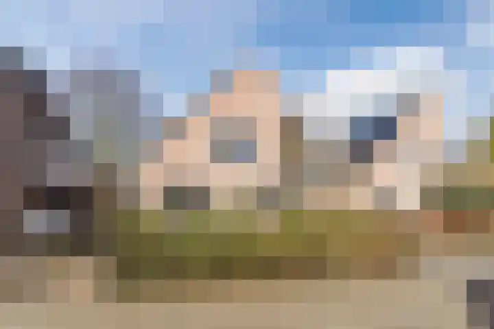 Bongerdpad 13 Apeldoorn thumbnail 26