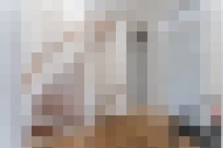 Bongerdpad 13 Apeldoorn thumbnail 27