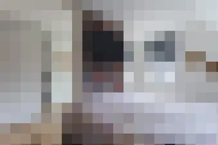 Bongerdpad 13 Apeldoorn thumbnail 30