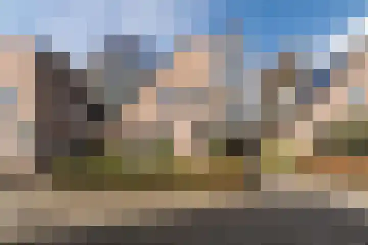 Bongerdpad 13 Apeldoorn thumbnail 32