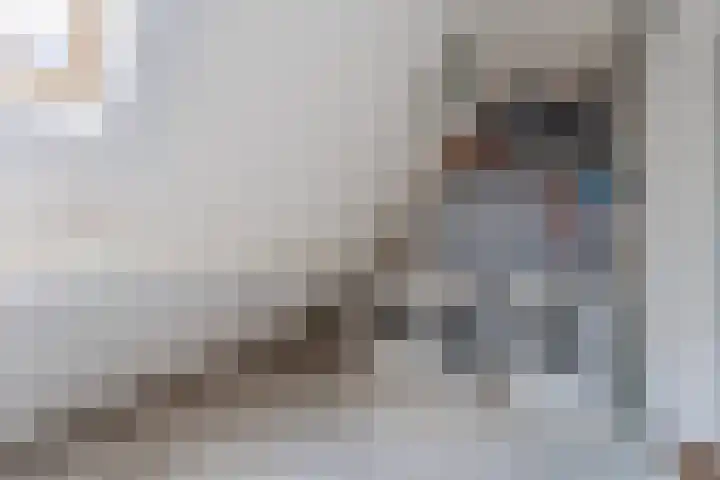 Bongerdpad 13 Apeldoorn thumbnail 37