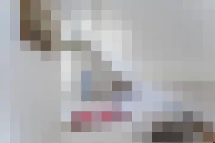 Bongerdpad 13 Apeldoorn thumbnail 38