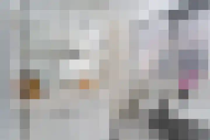 Bongerdpad 13 Apeldoorn thumbnail 39