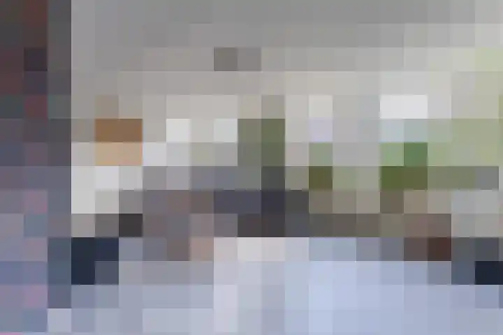 Bongerdpad 13 Apeldoorn thumbnail 4
