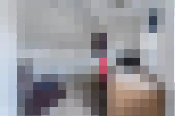 Bongerdpad 13 Apeldoorn thumbnail 45