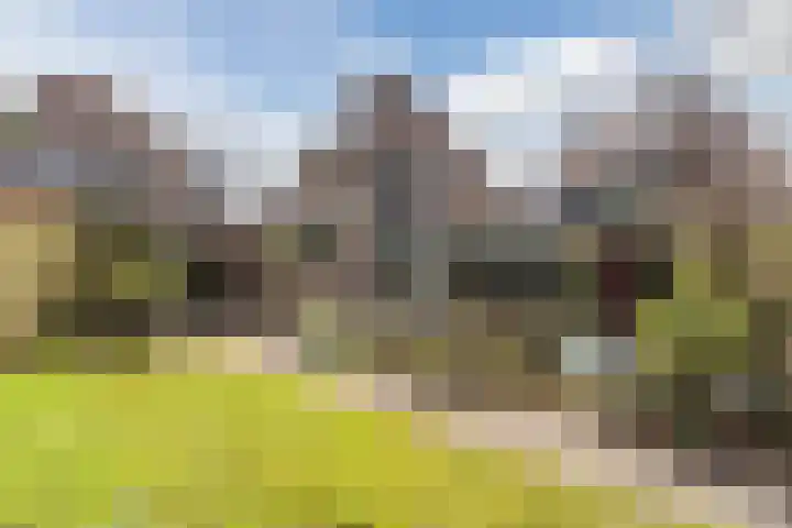 Bongerdpad 13 Apeldoorn thumbnail 47