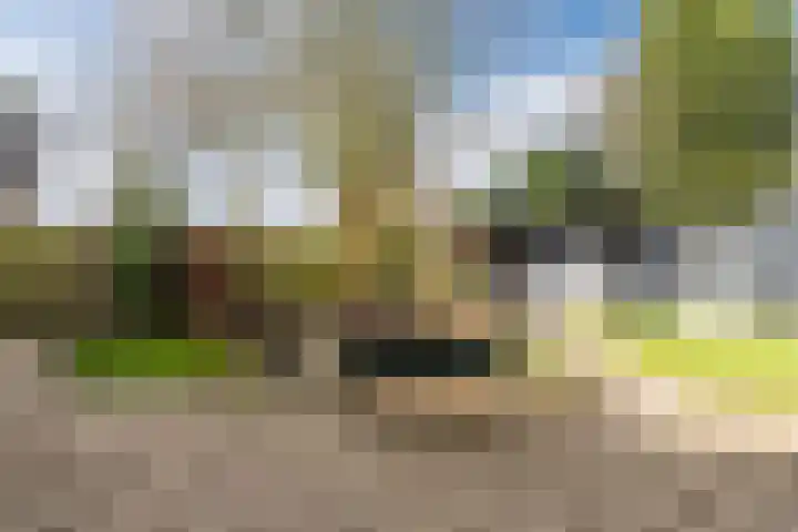 Bongerdpad 13 Apeldoorn thumbnail 48