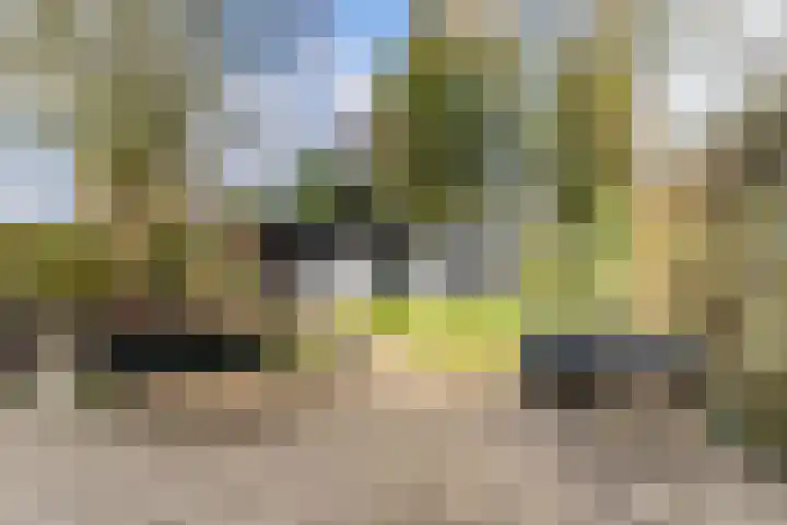 Bongerdpad 13 Apeldoorn thumbnail 49