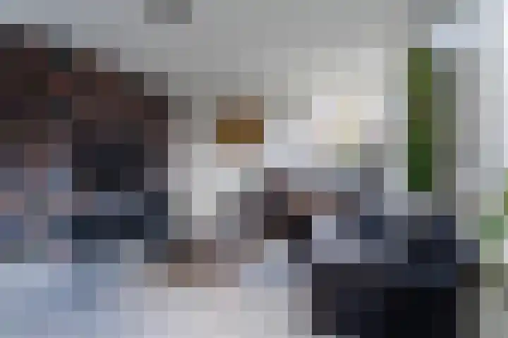 Bongerdpad 13 Apeldoorn thumbnail 5