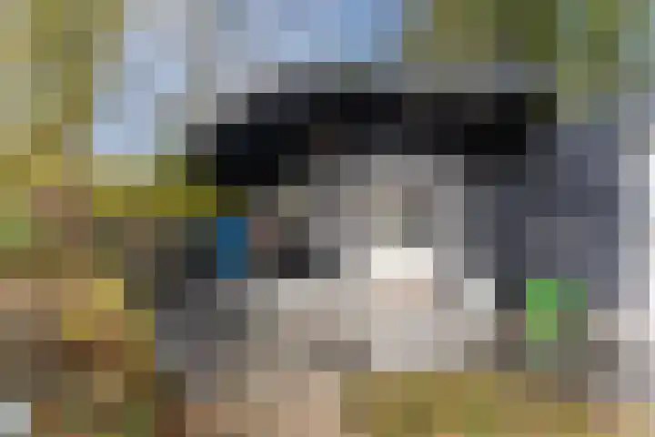 Bongerdpad 13 Apeldoorn thumbnail 50