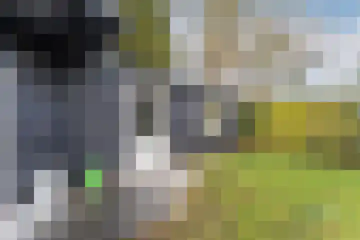 Bongerdpad 13 Apeldoorn thumbnail 51