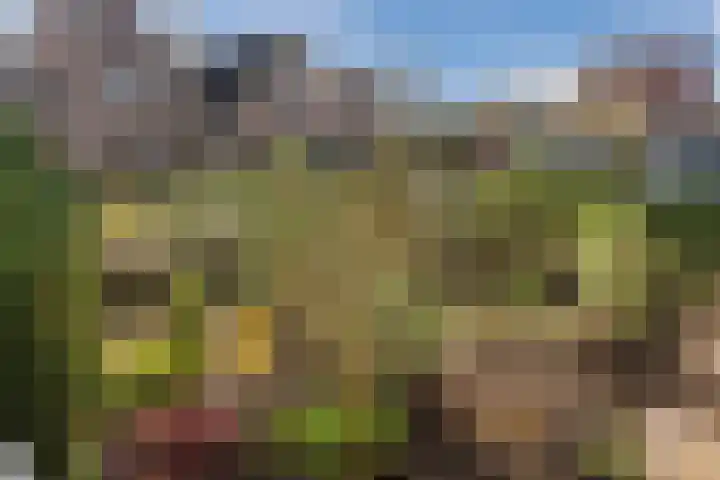 Bongerdpad 13 Apeldoorn thumbnail 54
