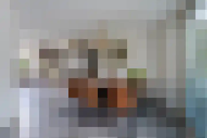Bongerdpad 13 Apeldoorn thumbnail 9