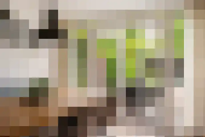 Bongerdplein 33 Epe thumbnail 13