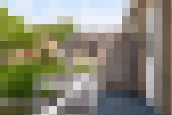 Bongerdplein 33 Epe thumbnail 22