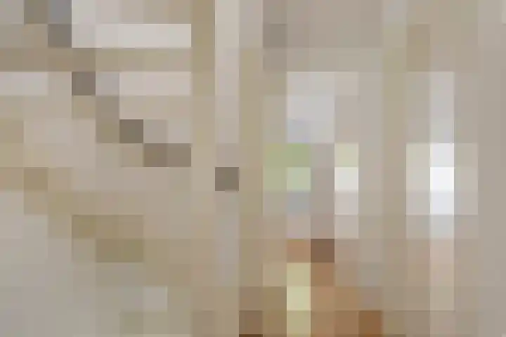 Bongerdplein 33 Epe thumbnail 26