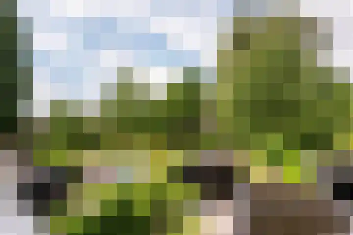 Bongerdplein 33 Epe thumbnail 36