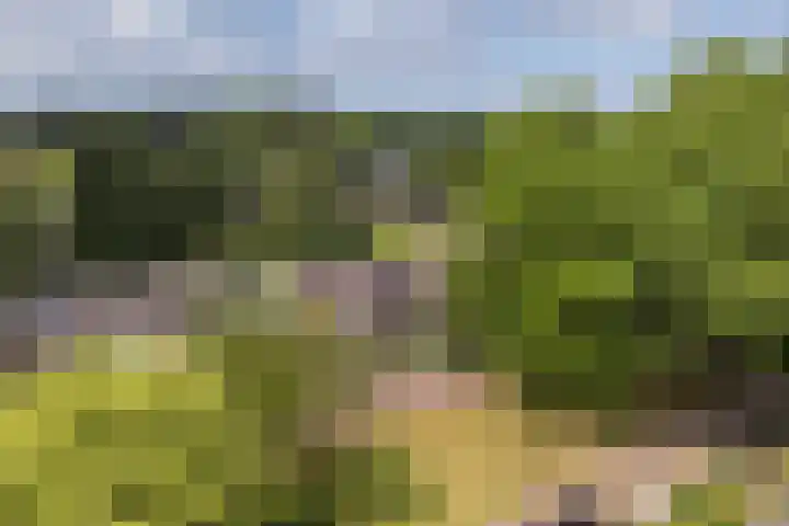 Bongerdplein 33 Epe thumbnail 38