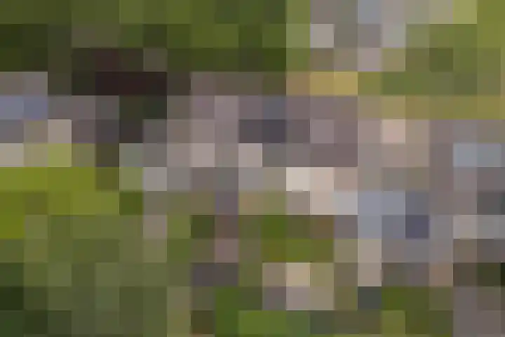 Bongerdplein 33 Epe thumbnail 39