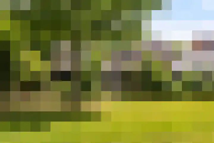 Bongerdplein 33 Epe thumbnail 4