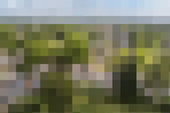 Bongerdplein 33 Epe thumbnail 41
