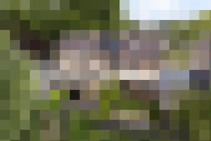 Bongerdplein 33 Epe thumbnail 42