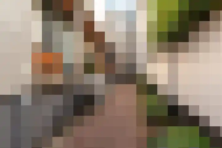 Bongerdsteeg 2 C Harderwijk thumbnail 21