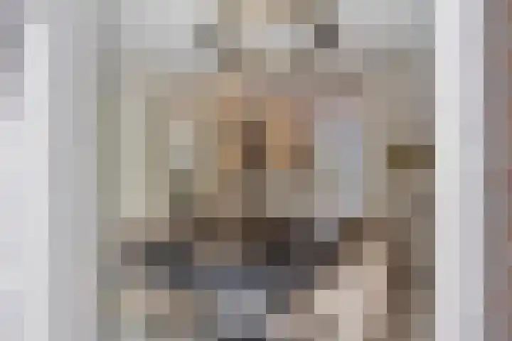 Bongerdstraat 2 Venray thumbnail 10