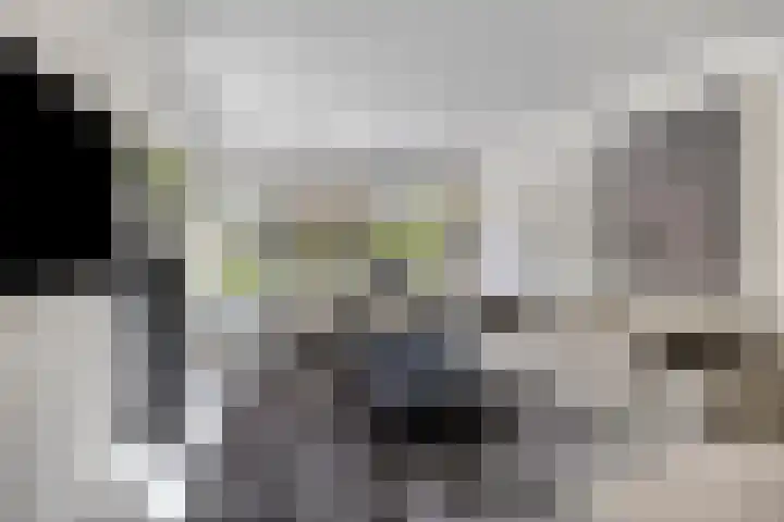 Bongerdstraat 2 Venray thumbnail 13
