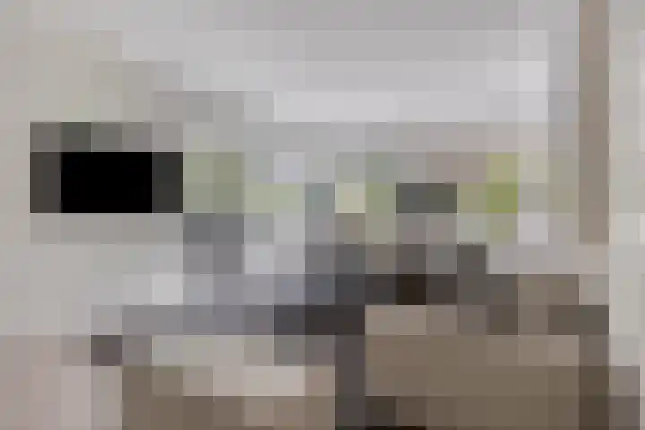 Bongerdstraat 2 Venray thumbnail 14