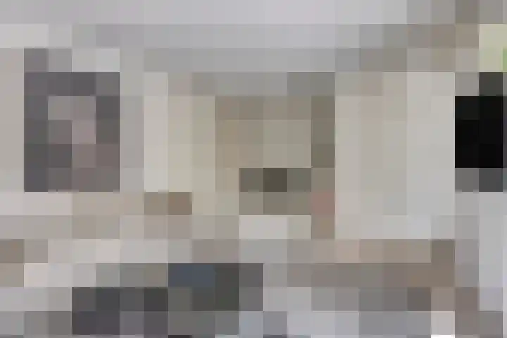 Bongerdstraat 2 Venray thumbnail 16