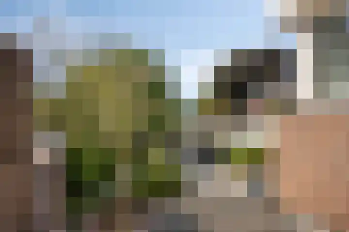 Bongerdstraat 2 Venray thumbnail 20