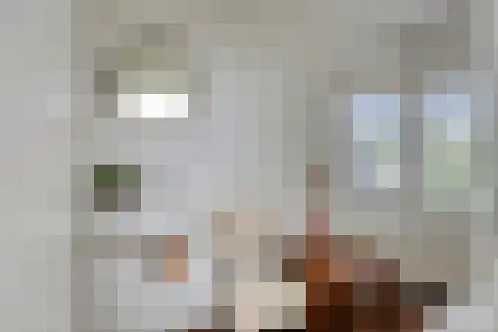 Bongerdstraat 2 Venray thumbnail 29