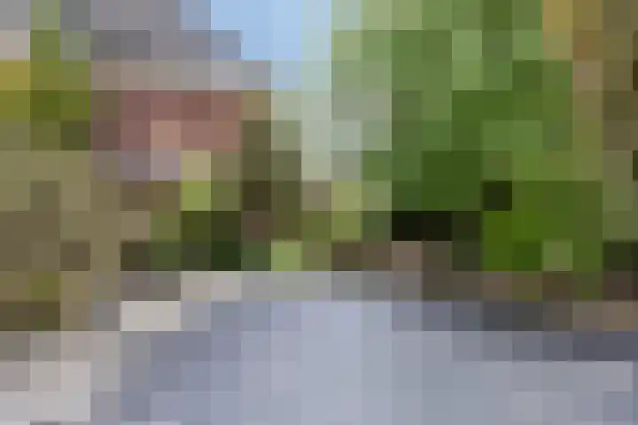 Bongerdstraat 2 Venray thumbnail 38