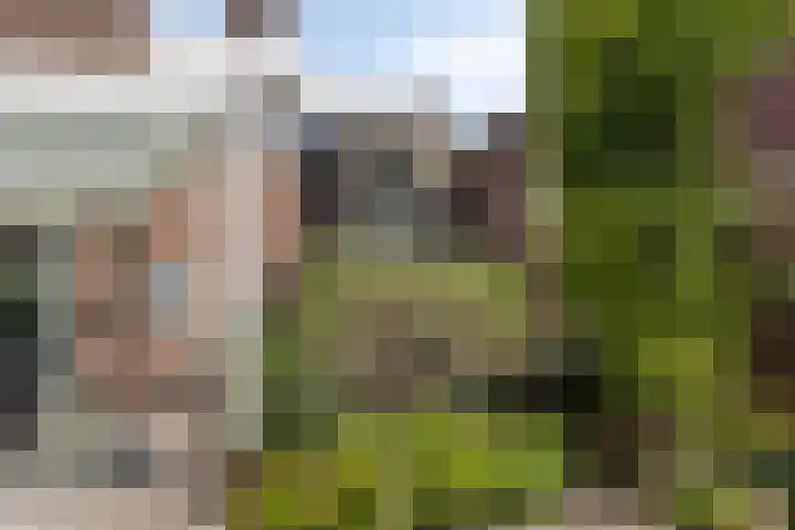 Bongerdstraat 2 Venray thumbnail 41